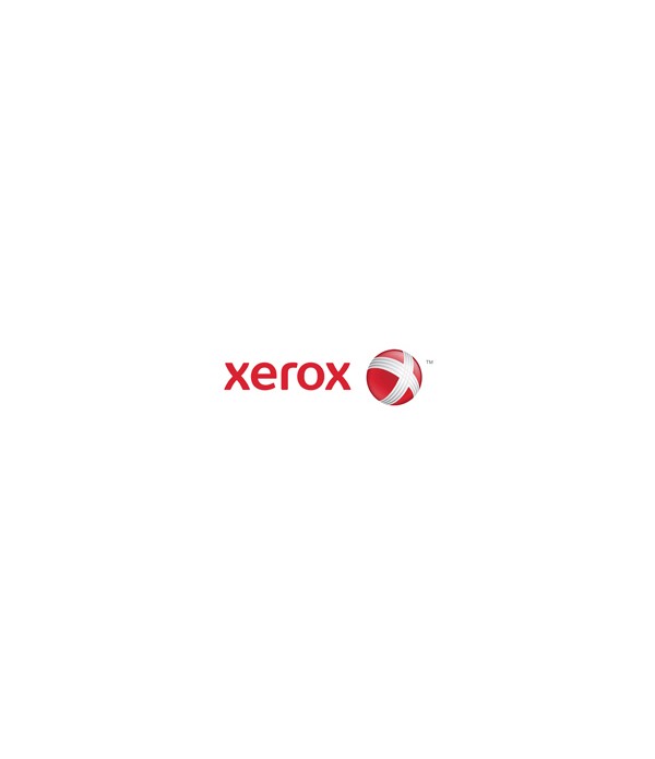 Xerox 256 Mb Memory