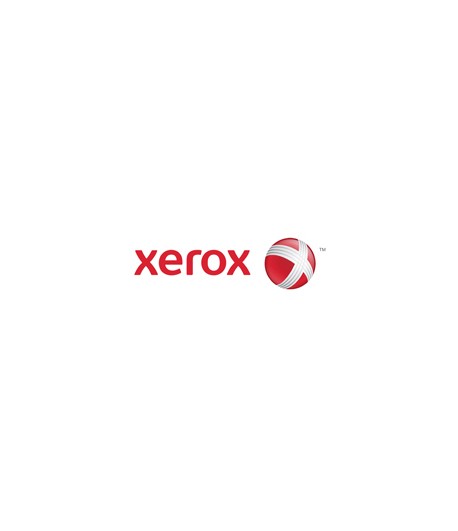 Xerox 256 Mb Memory