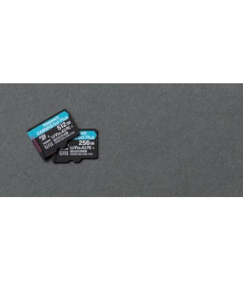 Kingston Technology Canvas Go! Plus memory card 256 GB MicroSD Class 10 UHS-I