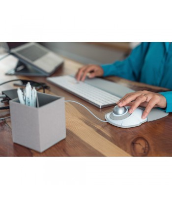Kensington Orbit mouse USB Trackball Ambidextrous