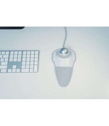 Kensington Orbit souris USB Trackball Ambidextre