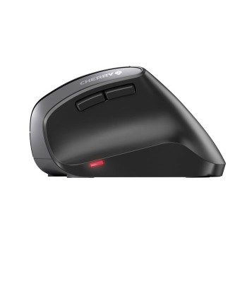 CHERRY MW 4500 mouse RF Wireless Optical 1200 DPI Right-hand