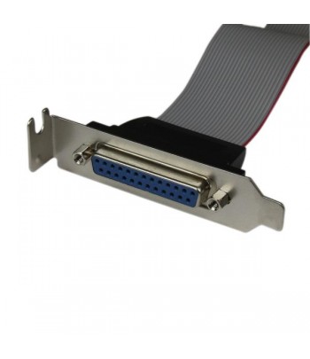 StarTech.com Low-Profile 40cm Parallelle Poort Verloopkabel met Bracket DB25 (F) naar IDC26