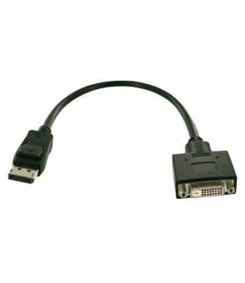 Fujitsu S26361-F2391-L200 DisplayPort DVI-D video kabel adapter