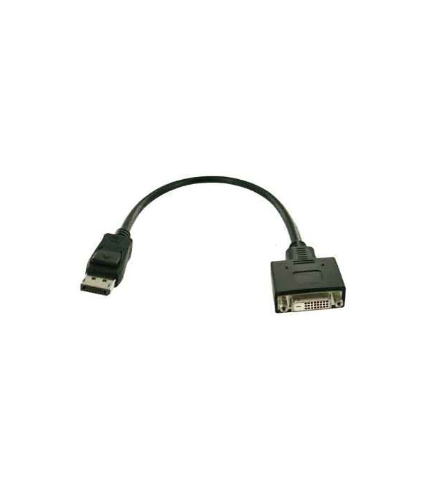 Fujitsu S26361-F2391-L200 DisplayPort DVI-D video cable adapter