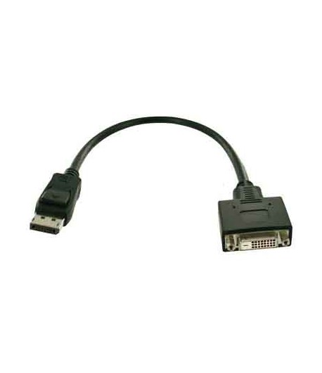 Fujitsu S26361-F2391-L200 DisplayPort DVI-D video kabel adapter