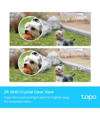 TP-Link C420S2 Peer IP-beveiligingscamera Binnen & buiten 2560 x 1440 Pixels Muur