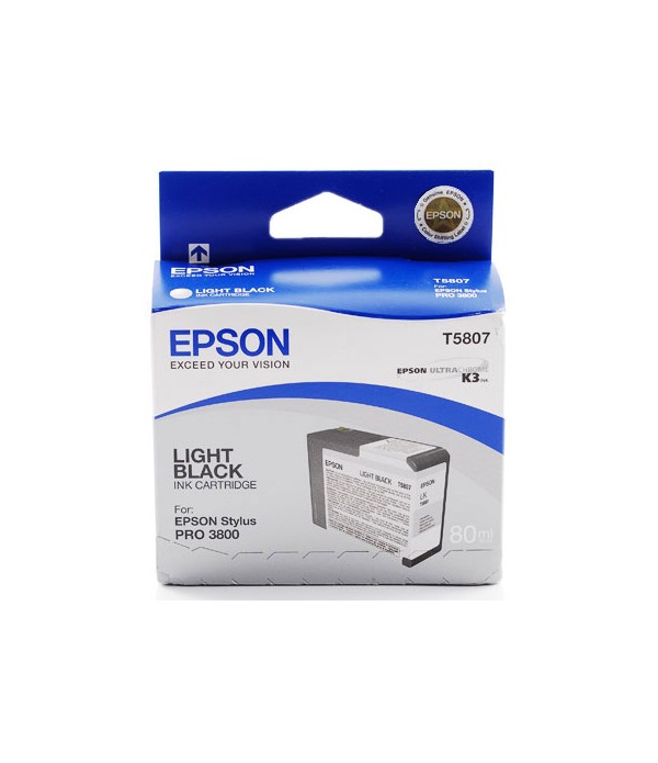 Epson inktpatroon Light Black T580700