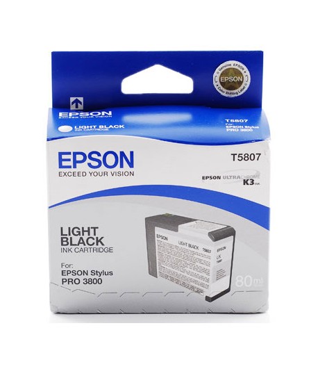 Epson inktpatroon Light Black T580700