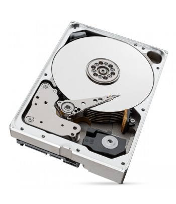 Seagate IronWolf Pro ST10000NT001 internal hard drive 3.5" 10000 GB