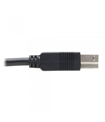 Tripp Lite U328F-15M USB-kabel USB 3.2 Gen 1 (3.1 Gen 1) USB A USB B Zwart