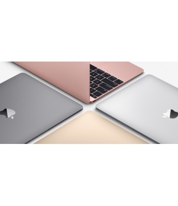 Apple MacBook 1.2GHz 12" 2304 x 1440Pixels Grijs Notebook