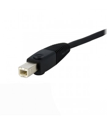 StarTech.com Câble de commutateur KVM DVI-D Dual Link USB 4 en 1 de 1,8 m avec audio et microphone